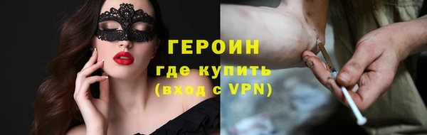 сатива Архангельск
