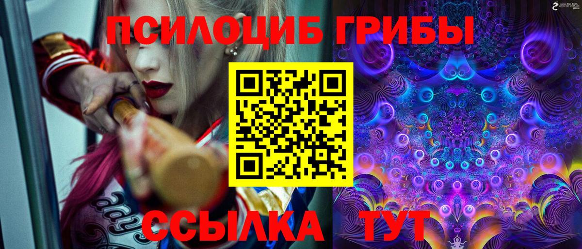 Галлюциногенные грибы ЛСД  Вход с VPN  Нальчик  наркотики  Псилоцибиновые грибы Psilocybine cubensis 